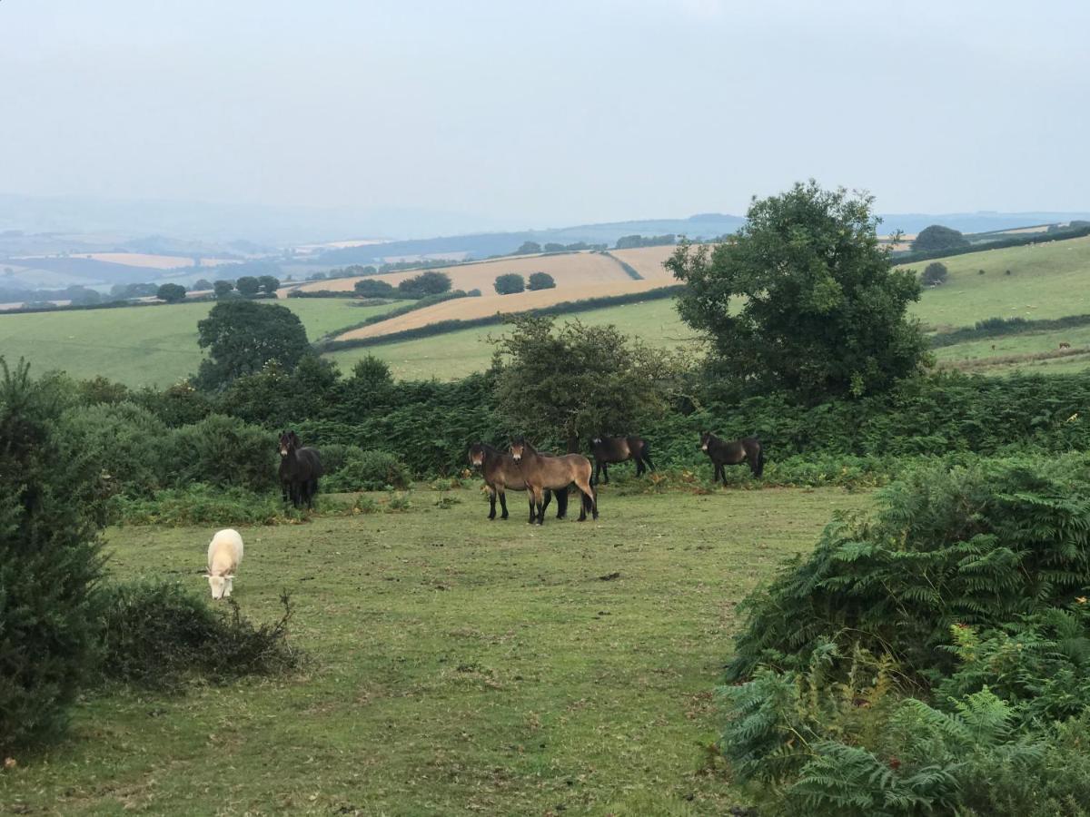 Slowley Farm Cottage Luxborough 외부 사진
